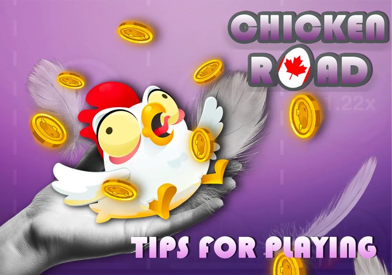 Descubre todo sobre el Juego de la Carretera del Pollo en España en Línea in Spain